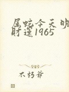 属蛇今天明天偏财运1965