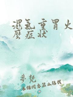 湿气重胃火旺什么症状