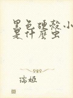 黑色硬壳小虫子是什么虫