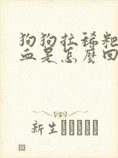 狗狗拉稀粑粑带血是怎么回事