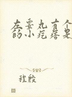 左睾丸有个硬硬的小疙瘩是怎么回事