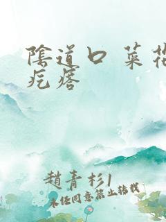 阴道口 菜花状疙瘩