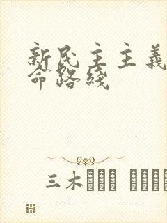 新民主主义的革命路线