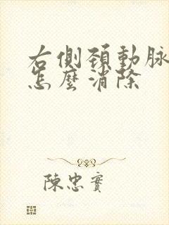 右侧颈动脉斑块怎么消除