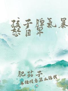 孩子脾气暴躁易怒自卑