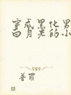 穿成黑化男主的白月光的小说