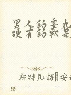 男人的睾丸有的硬有的软是怎么回事