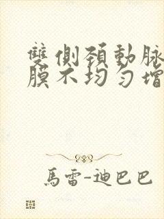 双侧颈动脉内中膜不均匀增厚伴左侧斑块形成