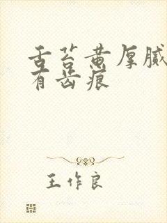 舌苔黄厚腻两边有齿痕