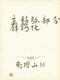 主动脉部分血管壁钙化