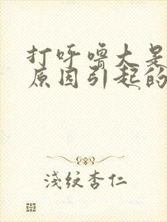 打呼噜大是什么原因引起的