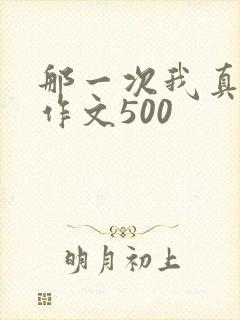 那一次我真难忘作文500