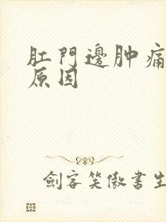 肛门边肿痛什么原因