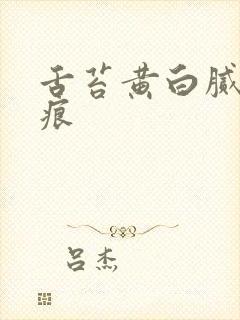 舌苔黄白腻有齿痕