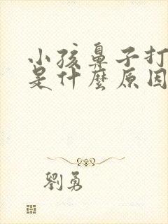 小孩鼻子打呼噜是什么原因引起的