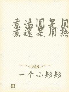 煮汤圆是用冷水煮还是用热水煮