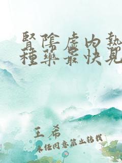 肾阴虚内热吃那种药最快见效