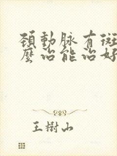 颈动脉有斑块怎么治能治好