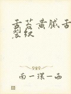 舌苔黄腻舌中有裂纹