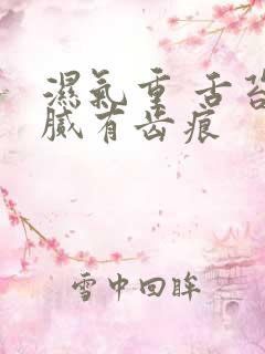 湿气重 舌苔白腻有齿痕