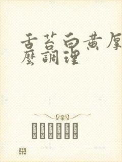 舌苔白黄厚腻怎么调理