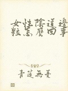 女性阴道边起颗粒怎么回事啊