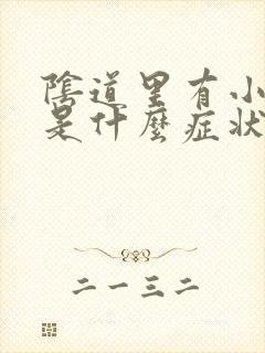 阴道里有小颗粒是什么症状