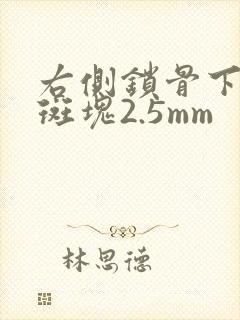 右侧锁骨下动脉斑块2.5mm