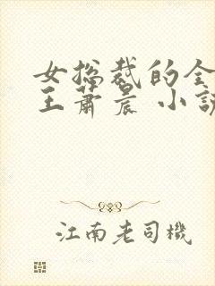 女总裁的全能兵王萧晨 小说