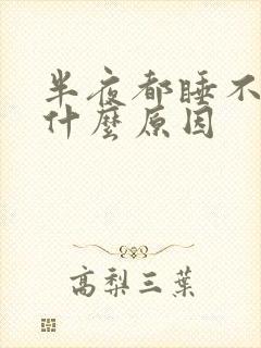 半夜都睡不着觉什么原因