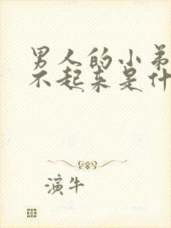 男人的小弟弟硬不起来是什么原因/