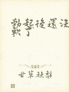 勃起后还没射就软了