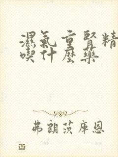 湿气重肾精亏虚吃什么药