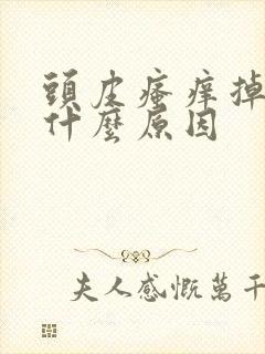 头皮瘙痒掉发是什么原因