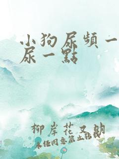 小狗尿频一次只尿一点