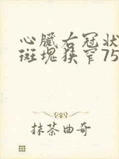 心脏右冠状动脉斑块狭窄75%