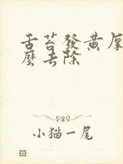 舌苔发黄厚腻怎么去除