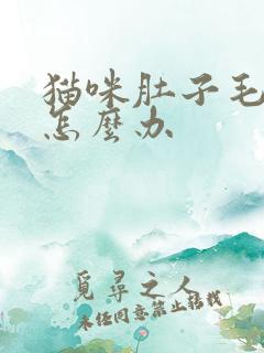 猫咪肚子毛球多怎么办