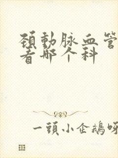 颈动脉血管斑块看哪个科