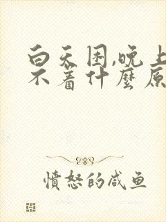 白天困,晚上睡不着什么原因