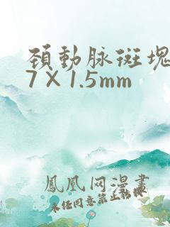 颈动脉斑块3.7×1.5mm