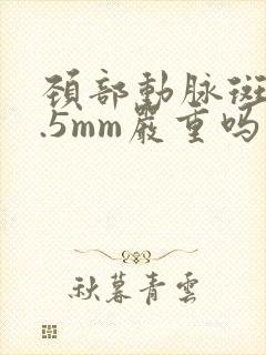 颈部动脉斑块1.5mm严重吗