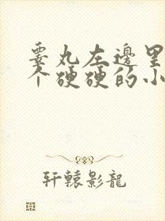 睾丸左边里面有个硬硬的小疙瘩疼