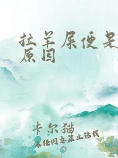 拉羊屎便是什么原因