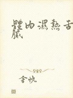 体内湿热舌苔黄腻