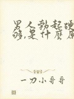 男人勃起硬度不够,是什么原因