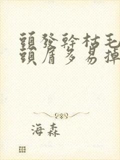 头发干枯毛躁痒头屑多易掉发