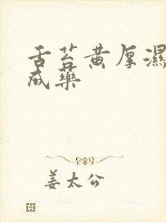 舌苔黄厚湿热中成药