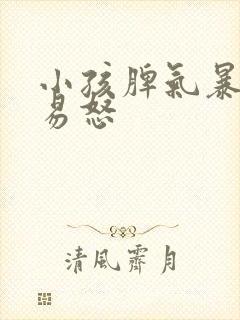 小孩脾气暴躁的易怒