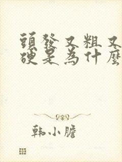 头发又粗又黑又硬是为什么